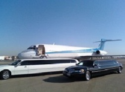 ВИП встреча на лимузине в аэропорту Домодедово